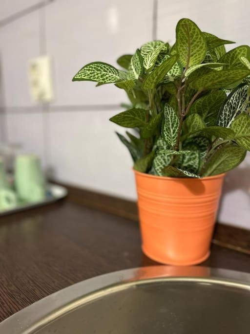 1#Parliament Sunflower Apartments Room 布达佩斯 外观 照片