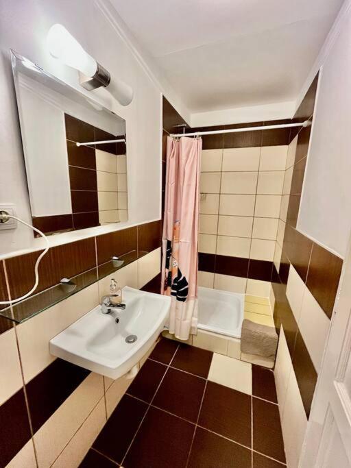 1#Parliament Sunflower Apartments Room 布达佩斯 外观 照片